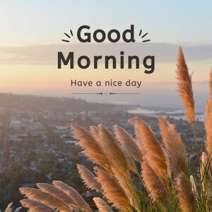 Good morning Have a nice day :)